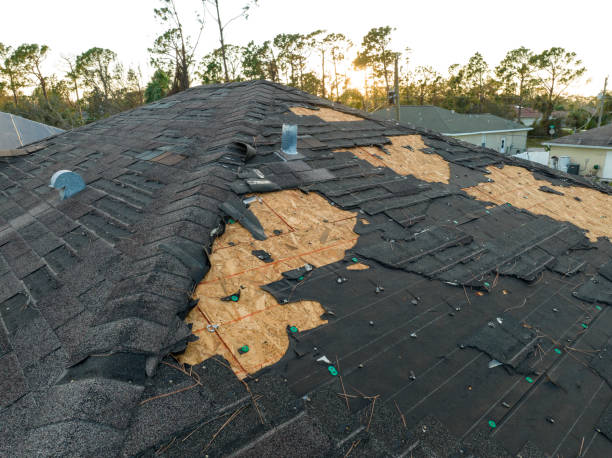 Best Sheet Metal Roofing  in Southworth, WA