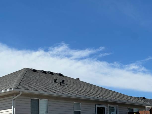 Best Roof Ventilation Installation  in Southworth, WA